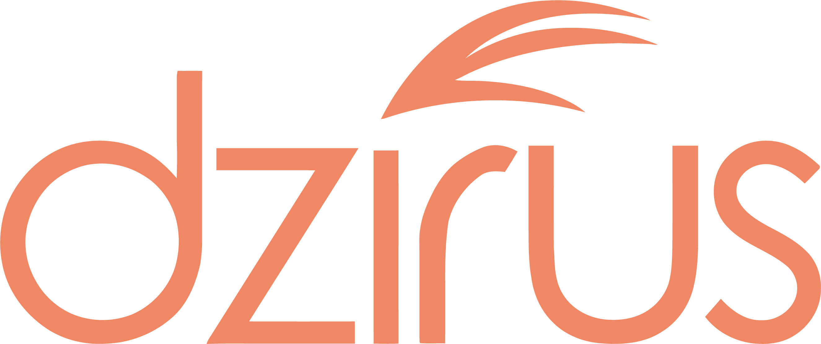 dzirus.com